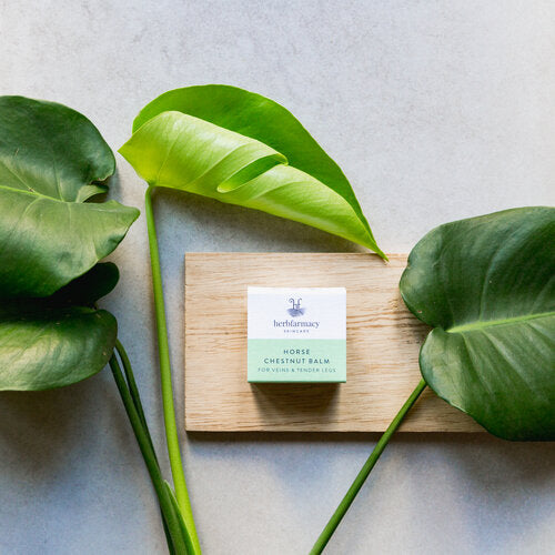 Horse Chestnut Balm