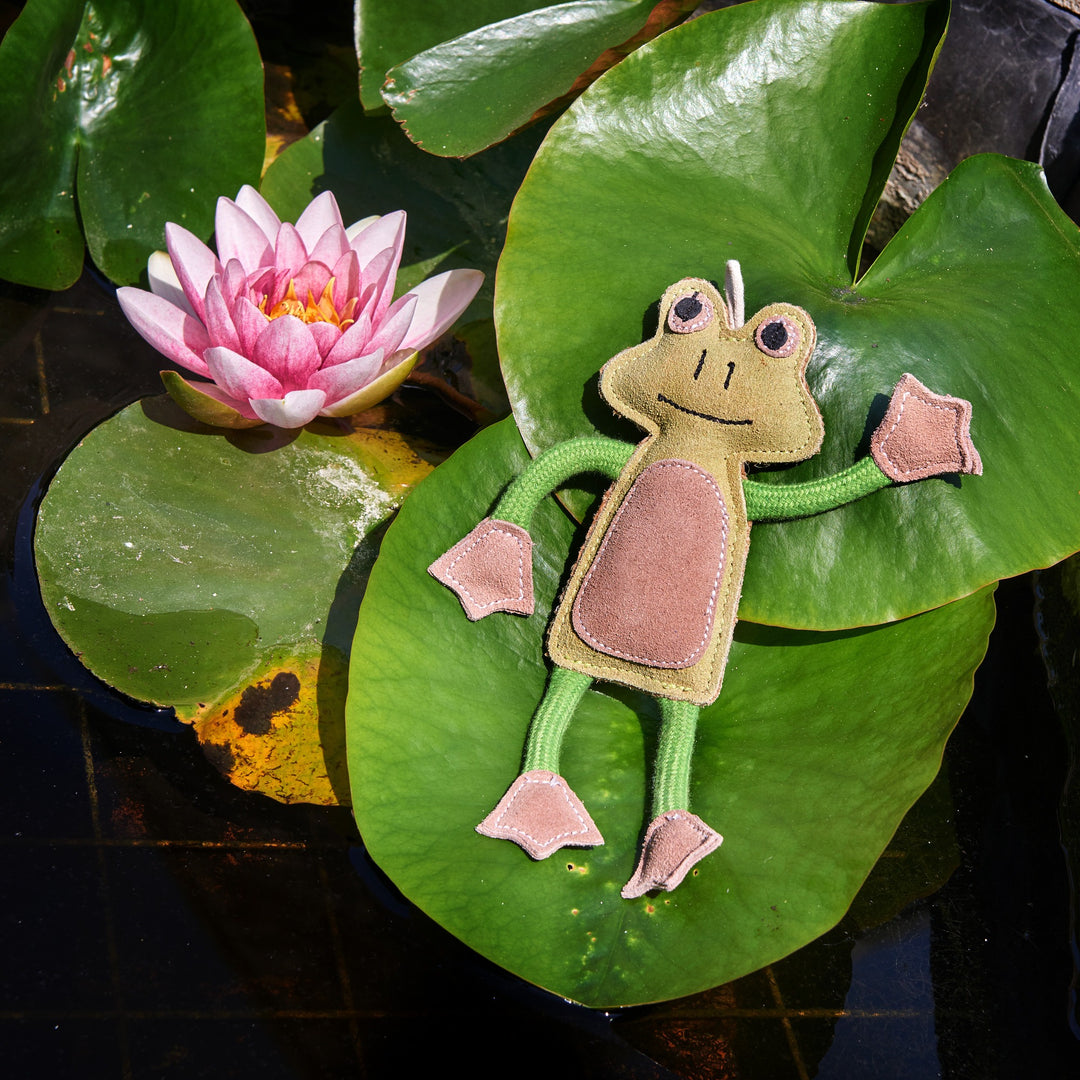 Francois the Frog