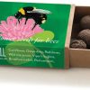 Seedball Matchbox Green Bee