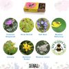 Seedball Matchbox Yellow Bee