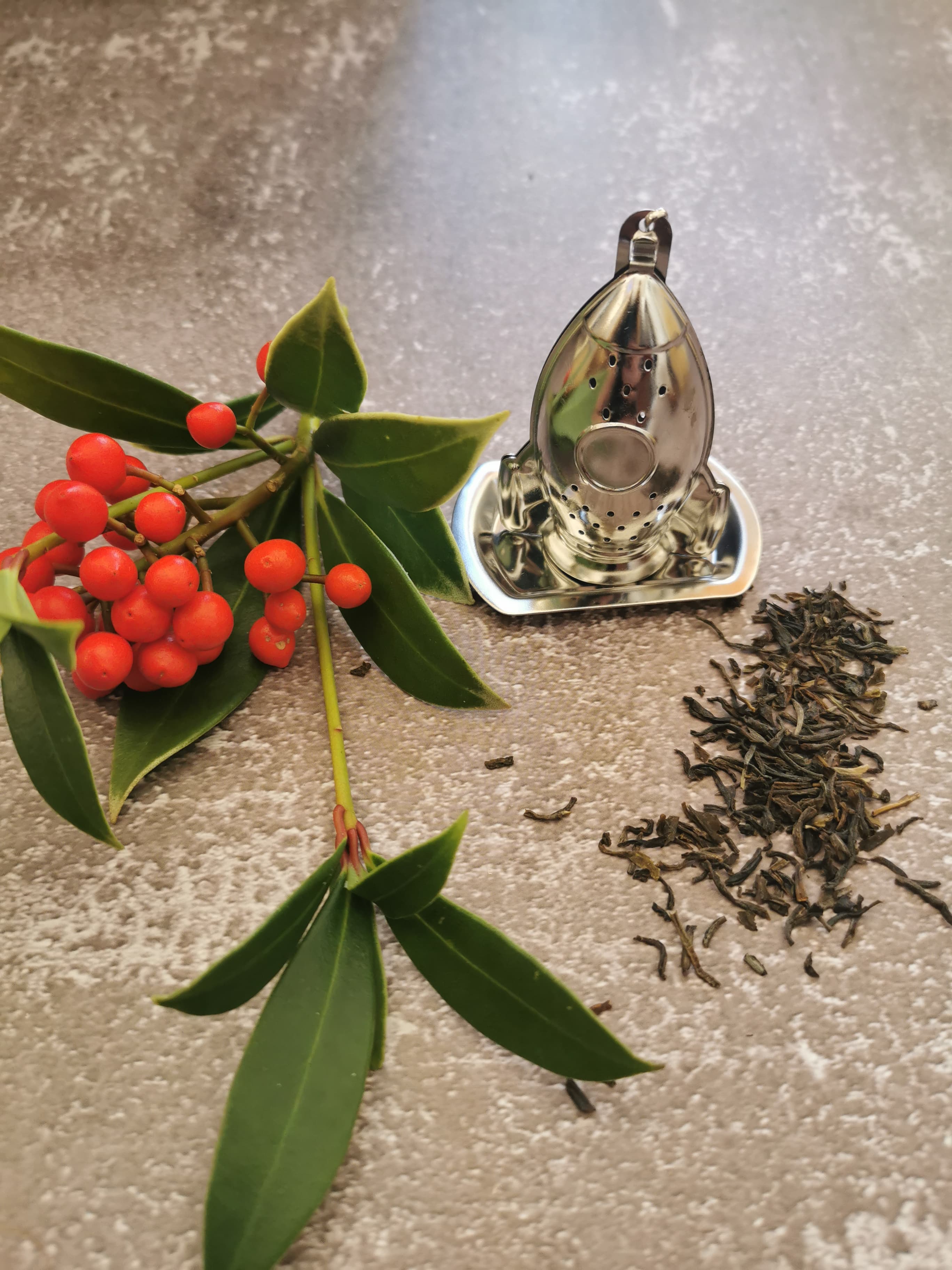 Stainless steel Rocket Tea Infuser – Little Green Refills