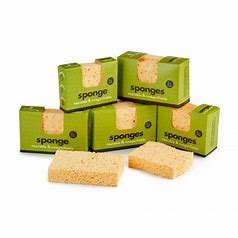 Compostable sponge